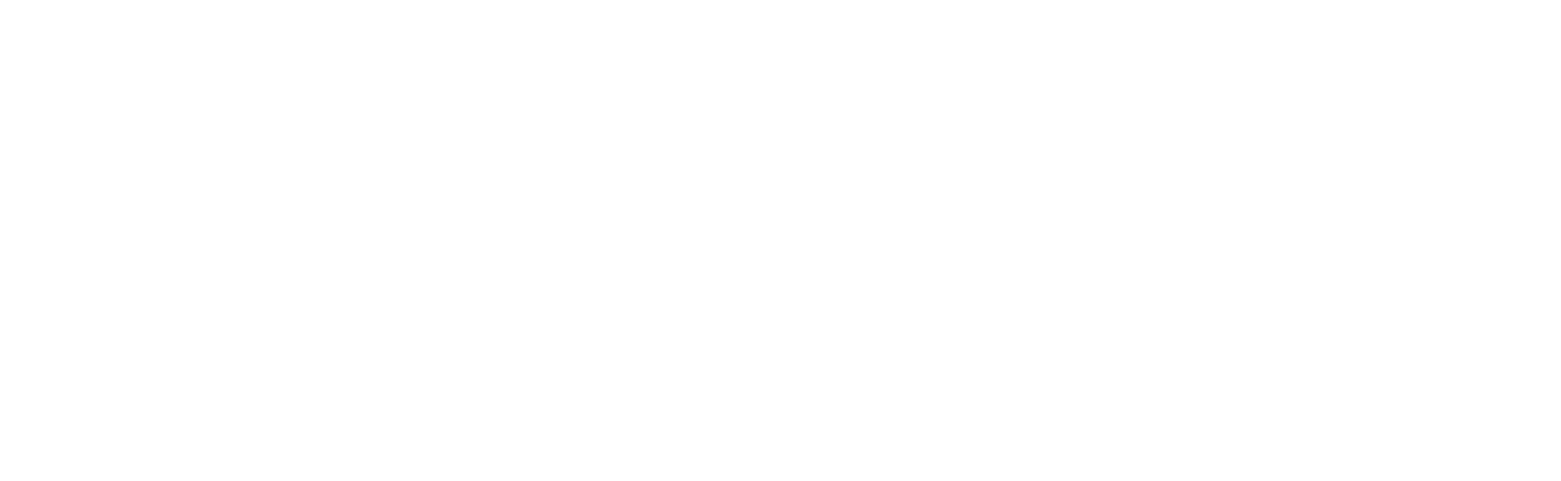 logo-footer-lokite-application-kitesurf-pour-ecoles-2